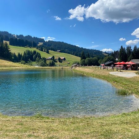 Chaleureux Appartement Renove Ambiance Chalet Praz-sur-Arly Zewnętrze zdjęcie