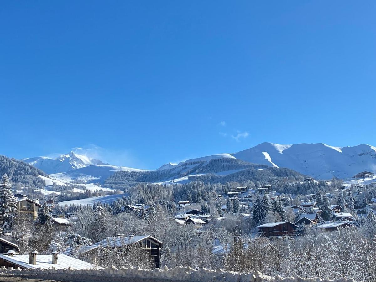 Chaleureux Appartement Renove Ambiance Chalet Praz-sur-Arly Zewnętrze zdjęcie