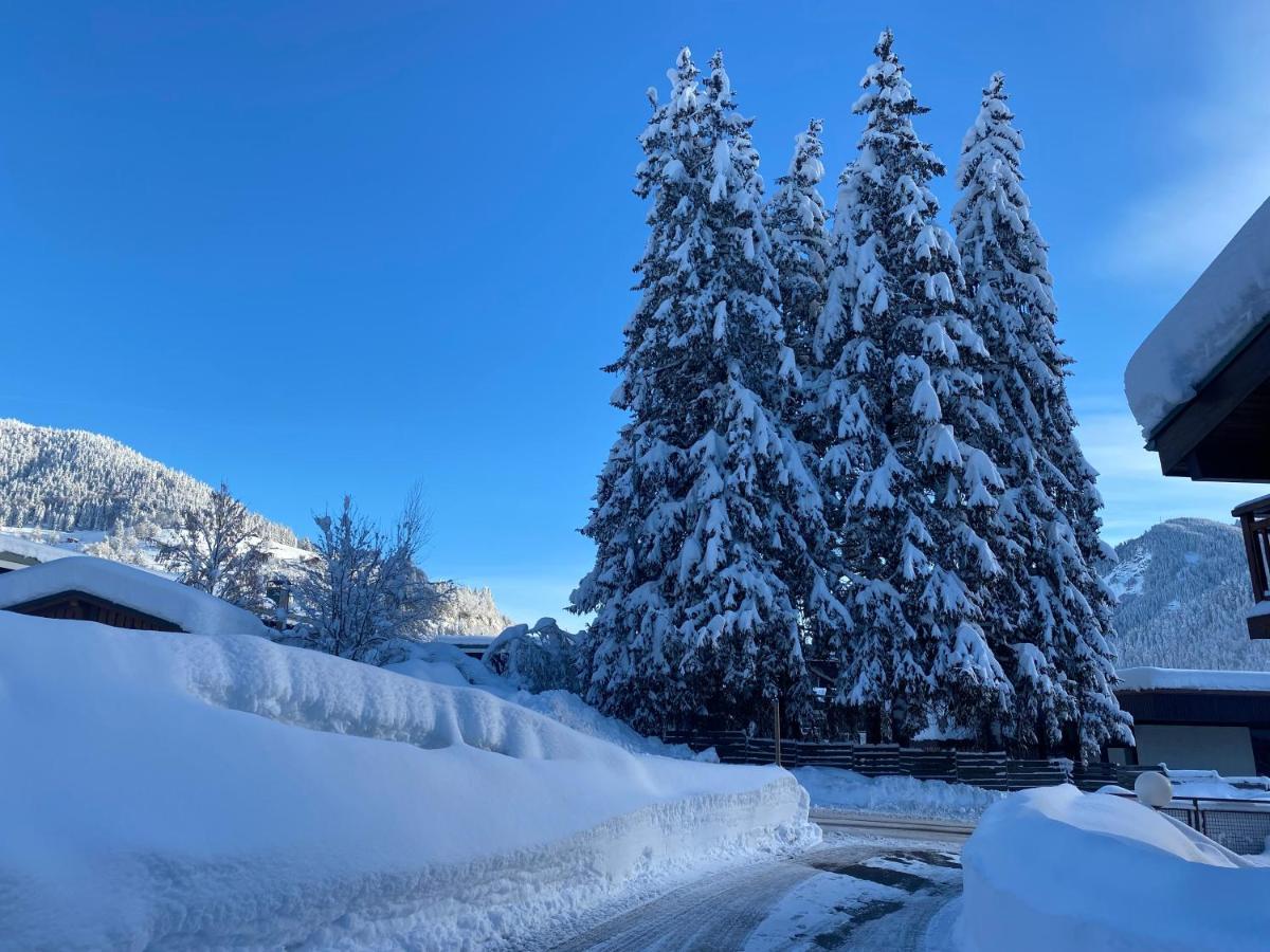 Chaleureux Appartement Renove Ambiance Chalet Praz-sur-Arly Zewnętrze zdjęcie