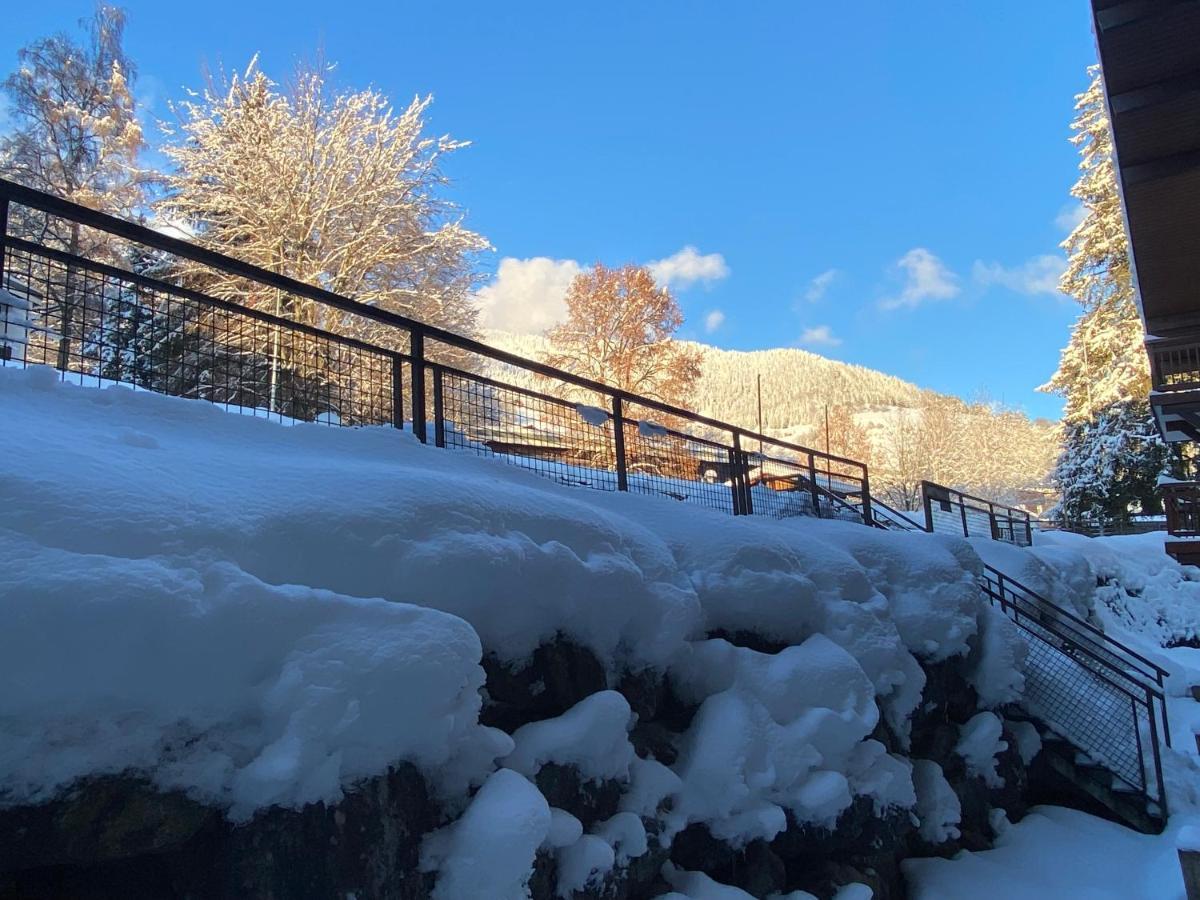 Chaleureux Appartement Renove Ambiance Chalet Praz-sur-Arly Zewnętrze zdjęcie