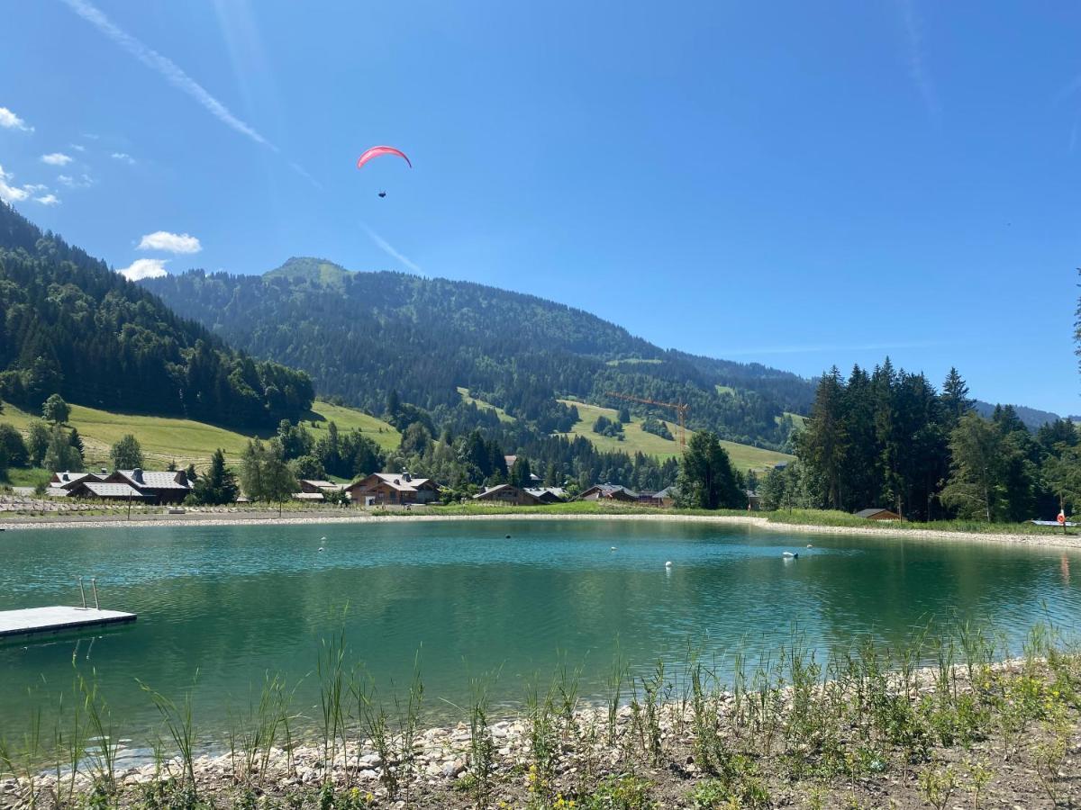 Chaleureux Appartement Renove Ambiance Chalet Praz-sur-Arly Zewnętrze zdjęcie